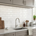 Bianco Dolomiti (White Dolomite) 3x6 Polished Tile — Kitchen backsplash