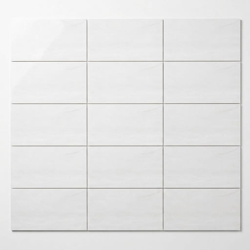 Bianco Dolomiti (White Dolomite) 3x6 Polished Tile close-up