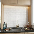 Bianco Dolomiti (White Dolomite) 3x6 Polished Tile — Wet Bar backsplash