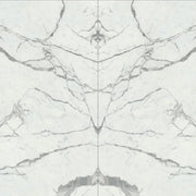 Bianco Stat Print A 60x126 Polished Porcelain Slab