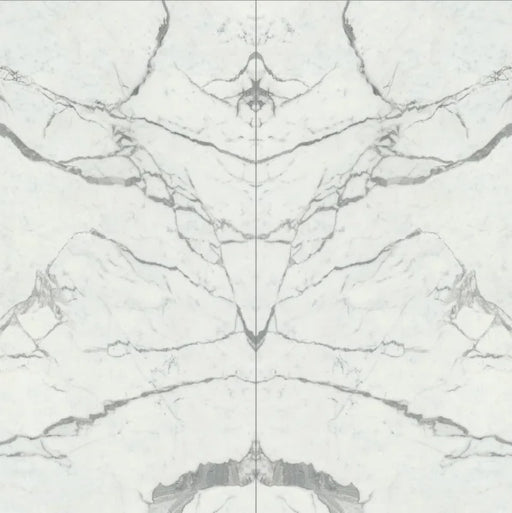 Bianco Stat Print A 60x126 Polished Porcelain Slab