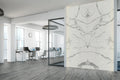 Bianco Stat Print B 60x126 Polished Porcelain Slab