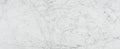 Bianco Venatino 12x24 Honed Marble Tile