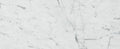 Bianco Venatino 12x24 Honed Marble Tile