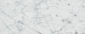 Bianco Venatino 12x24 Honed Marble Tile