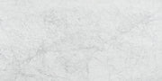 Bianco Venatino 12x24 Honed Marble Tile