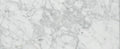Bianco Venatino 12x24 Polished Marble Tile