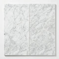 Bianco Venatino 12x24 Polished Marble Tile close-up