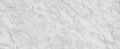 Bianco Venatino 2x12 Ogee Polished Marble & Dolomite Trim