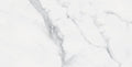 Bianco Venatino 12x24 Glazed Porcelain Tile