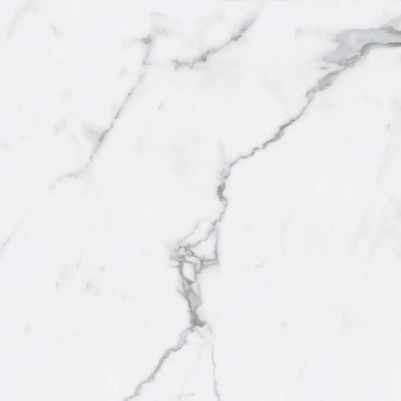 Bianco Venatino 24x24 Matte Porcelain Tile
