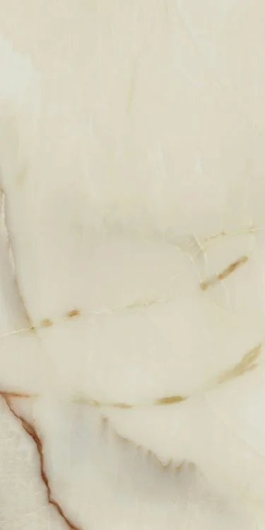 Bijoux Onyx Blanche 24x48 Glossy Porcelain Tile