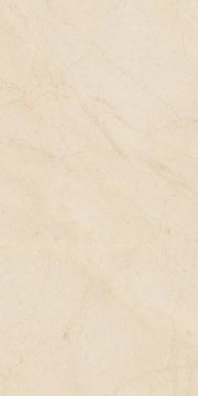 Biotech Crema Stone 24x48 Natural Stone Look Porcelain Tile