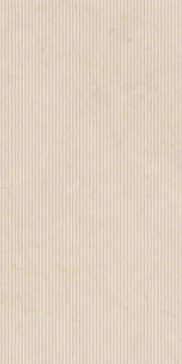 Biotech Crema Stone Cannette 24x48 Porcelain Tile