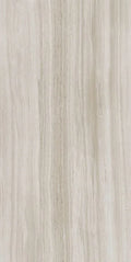 Biotech Stonewood 24x48 R+PTV Wood Look Porcelain Tile