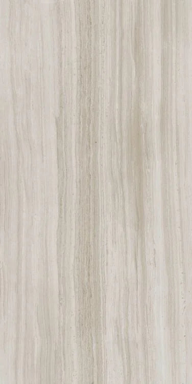 Biotech Stonewood 24x48 R+PTV Wood Look Porcelain Tile