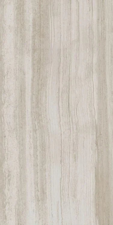 Biotech Stonewood 24x48 R+PTV Wood Look Porcelain Tile