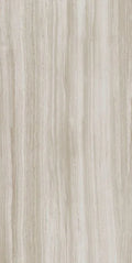Biotech Stonewood 24x48 R+PTV Wood Look Porcelain Tile