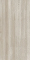 Biotech Stonewood 24x48 R+PTV Wood Look Porcelain Tile