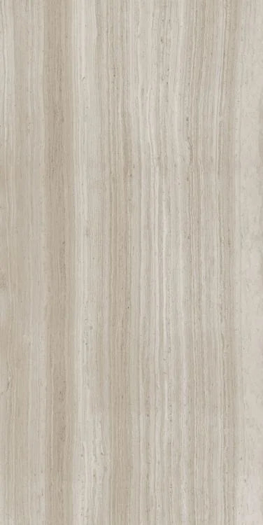 Biotech Stonewood 24x48 R+PTV Wood Look Porcelain Tile