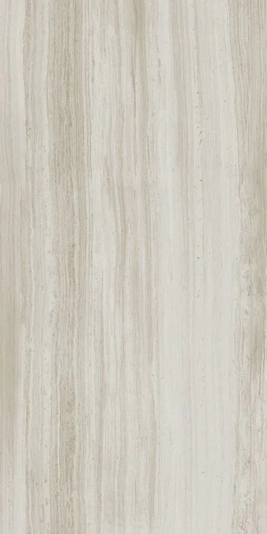 Biotech Stonewood 24x48 R+PTV Wood Look Porcelain Tile