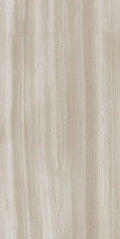 Biotech Stonewood 24x48 R+PTV Wood Look Porcelain Tile