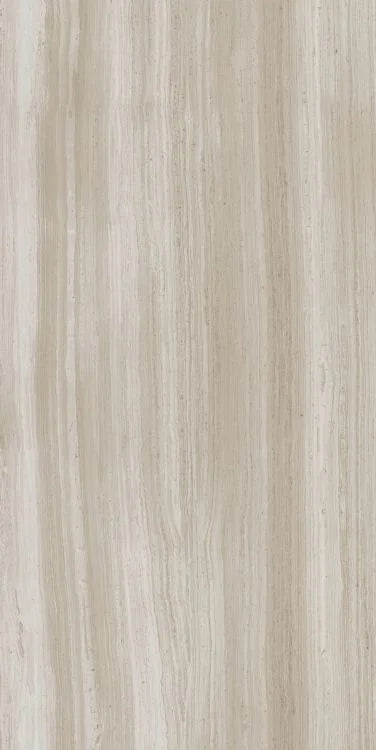 Biotech Stonewood 24x48 R+PTV Wood Look Porcelain Tile