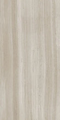Biotech Stonewood 24x48 R+PTV Wood Look Porcelain Tile