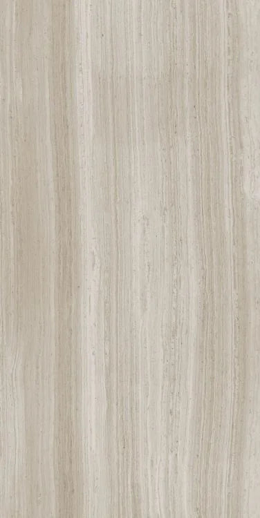 Biotech Stonewood 24x48 R+PTV Wood Look Porcelain Tile