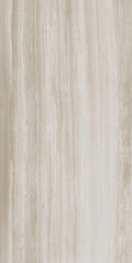 Biotech Stonewood 24x48 R+PTV Wood Look Porcelain Tile