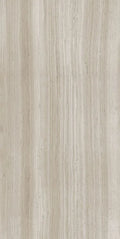 Biotech Stonewood 24x48 R+PTV Wood Look Porcelain Tile