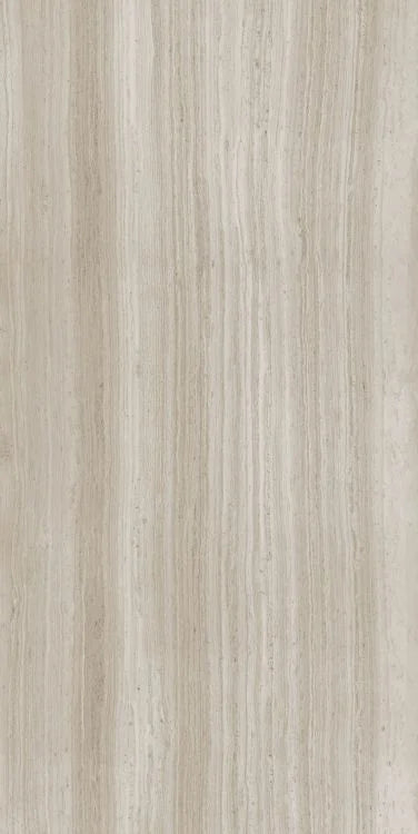 Biotech Stonewood 24x48 R+PTV Wood Look Porcelain Tile