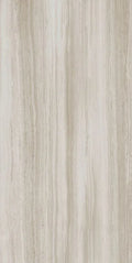 Biotech Stonewood 24x48 R+PTV Wood Look Porcelain Tile