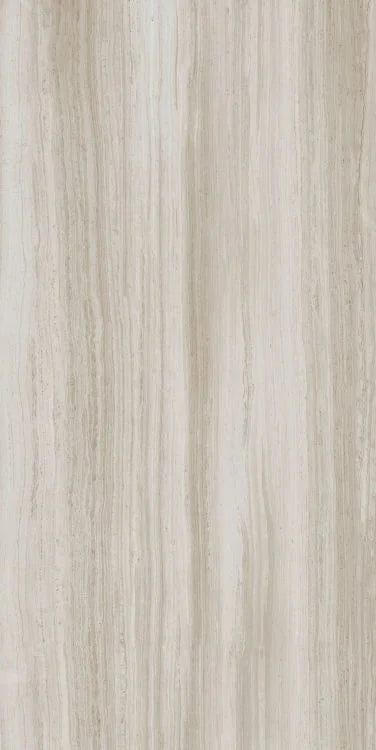Biotech Stonewood 24x48 R+PTV Wood Look Porcelain Tile