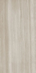 Biotech Stonewood 24x48 R+PTV Wood Look Porcelain Tile