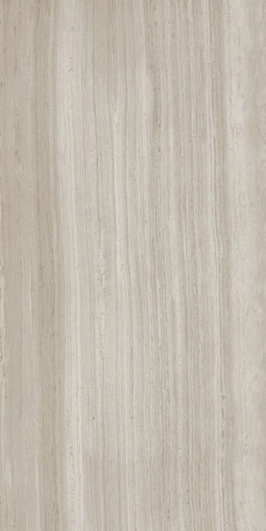 Biotech Stonewood 24x48 R+PTV Wood Look Porcelain Tile