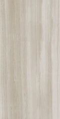 Biotech Stonewood 24x48 R+PTV Wood Look Porcelain Tile