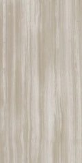 Biotech Stonewood 24x48 R+PTV Wood Look Porcelain Tile