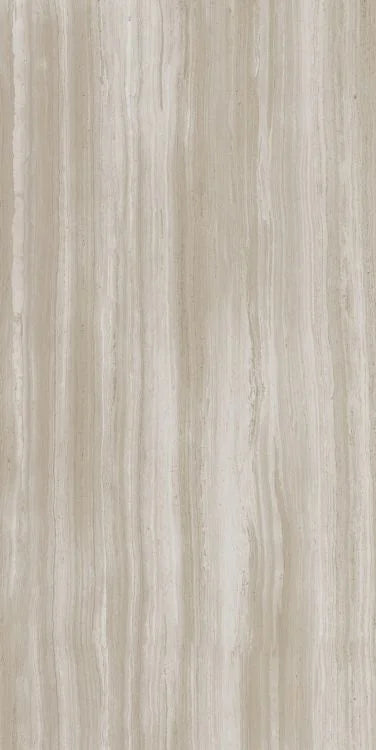 Biotech Stonewood 24x48 R+PTV Wood Look Porcelain Tile