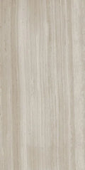 Biotech Stonewood 24x48 R+PTV Wood Look Porcelain Tile
