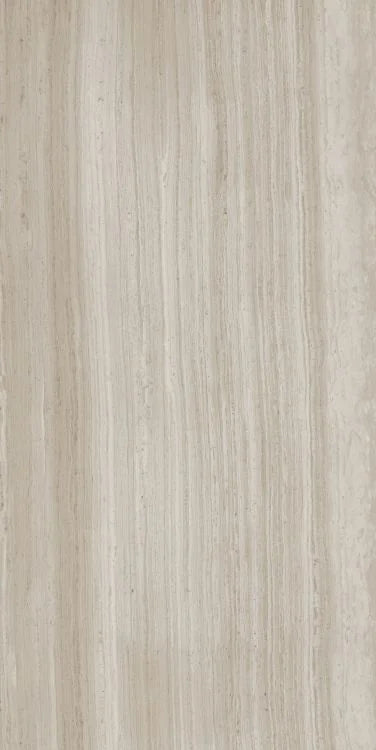 Biotech Stonewood 24x48 R+PTV Wood Look Porcelain Tile