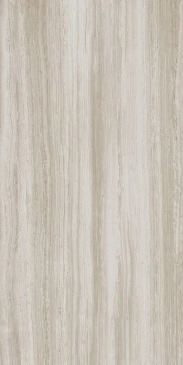 Biotech Stonewood 24x48 R+PTV Wood Look Porcelain Tile