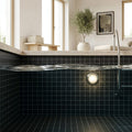 Black 2x2 Matte Marble Mosaic — Swimming Pool pool interior tiling