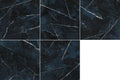 Black & Light Calacatta 47.2x47.2 Polished Porcelain Tile