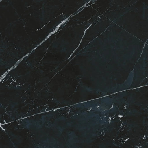 Black Calacatta 35.4x35.4 Polished Porcelain Tile