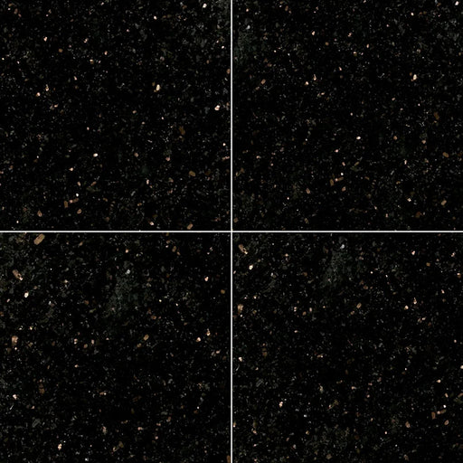 Black Galaxy 12x12 Polished Granite Tile