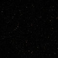 Black Galaxy 12x12 Polished Granite Tile