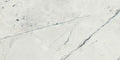 Black & Light Calacatta 23.6x47.2 Satin Porcelain Tile