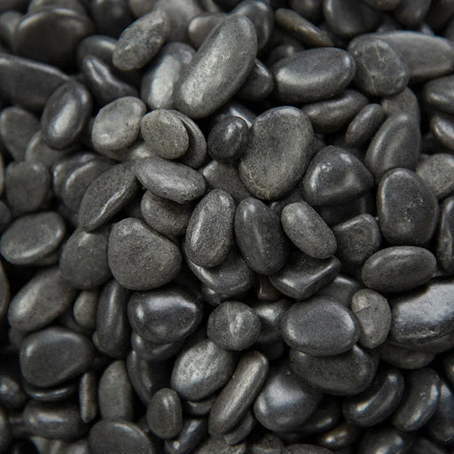 Black 1-2 CM Polished Pebbles 40 LBS Bag Pebble