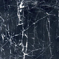 Black with Vein 12x12 Polished Marble Tile